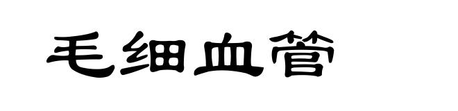毛细血管