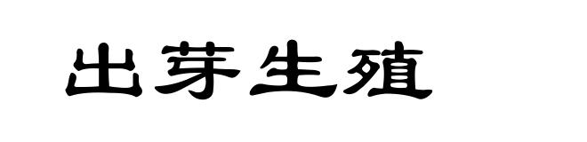 出芽生殖