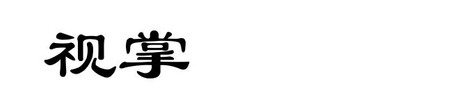 视掌
