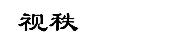 视秩