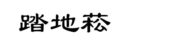 踏地菘