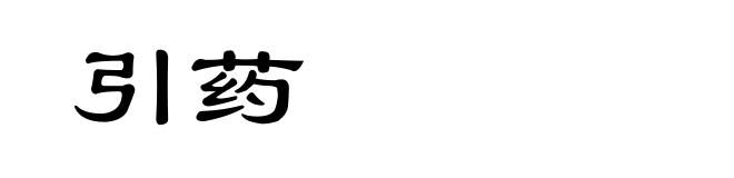 引药