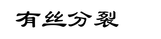 有丝分裂