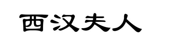 西汉夫人