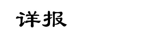 详报