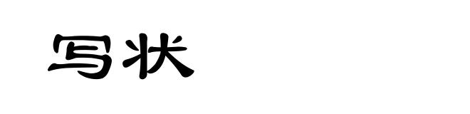 写状
