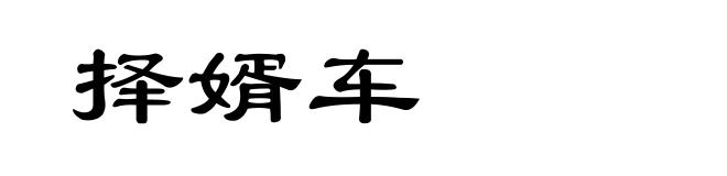 择婿车