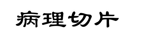 病理切片