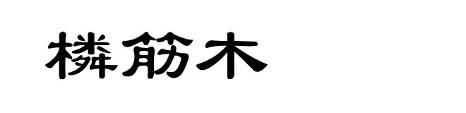 橉筋木
