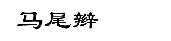 马尾辫