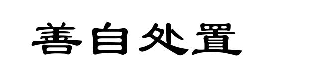 善自处置