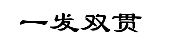 一发双贯