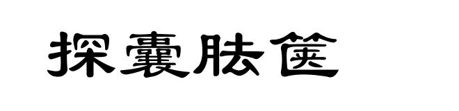 探囊胠箧