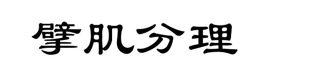 擘肌分理