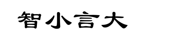 智小言大