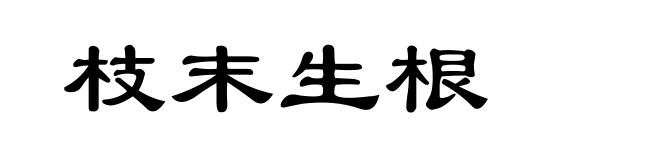 枝末生根