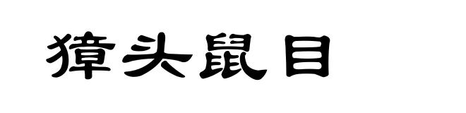 獐头鼠目