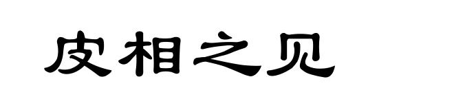 皮相之见