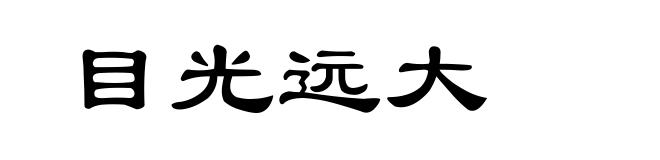 目光远大