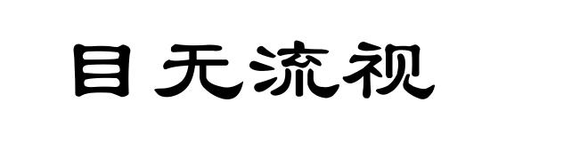 目无流视