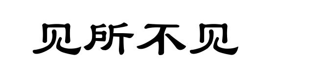 见所不见