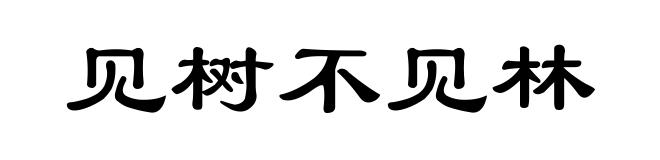 见树不见林
