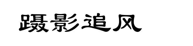 蹑影追风