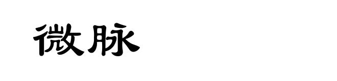 微脉