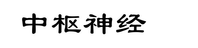 中枢神经