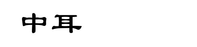 中耳