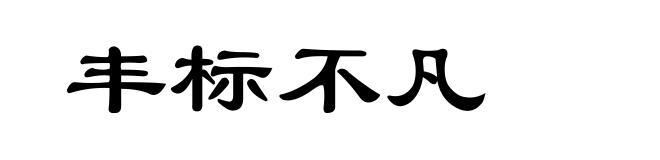 丰标不凡