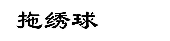 拖绣球