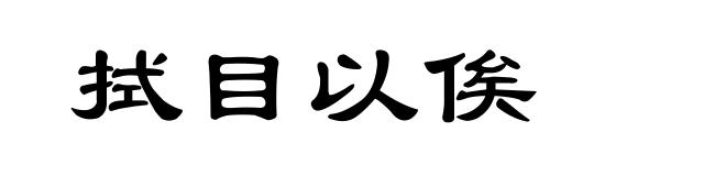 拭目以俟