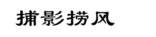 捕影捞风