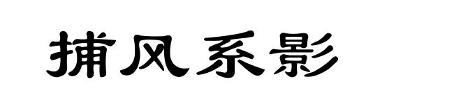 捕风系影