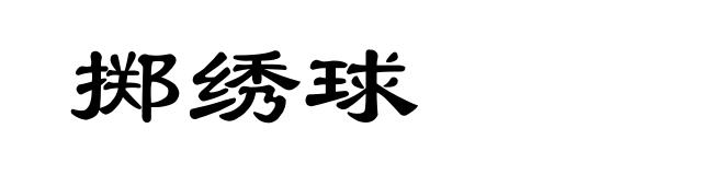 掷绣球