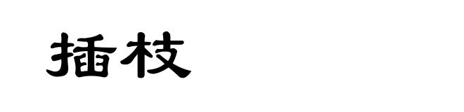 插枝