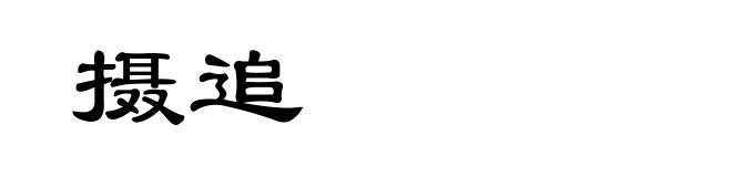 摄追