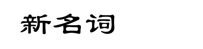 新名词