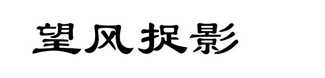望风捉影