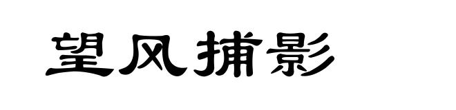 望风捕影