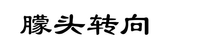 朦头转向