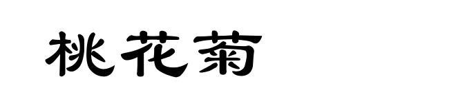 桃花菊