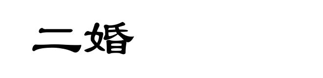二婚