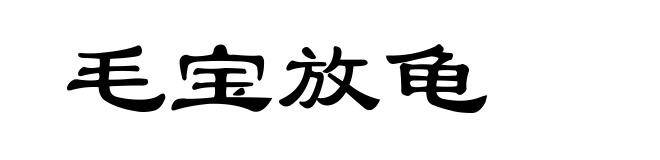 毛宝放龟