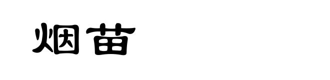 烟苗