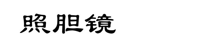 照胆镜