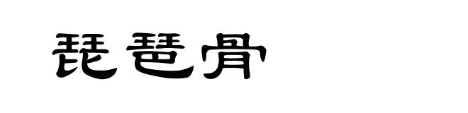 琵琶骨