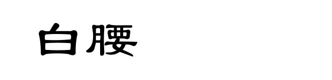 白腰
