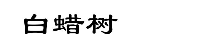 白蜡树